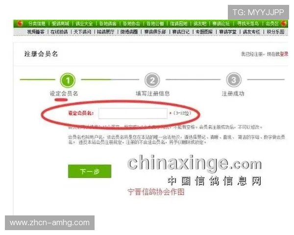 皇冠crown官网入口详细操作流程，帮助新用户顺利进入皇冠crown官网入口