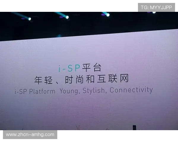 百盛娱乐城合作伙伴介绍，打造多元化娱乐生态圈满足不同客户需求